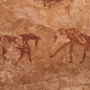 tassili-najjer (14)
