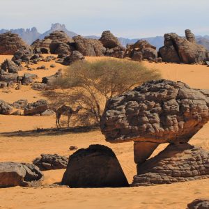 tassili-najjer (15)