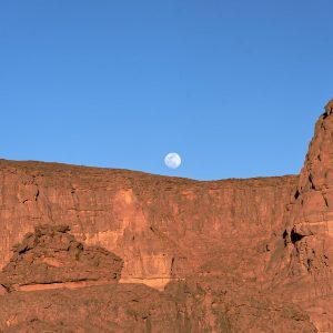 tassili-najjer (2)