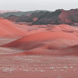 tassili-najjer (28)