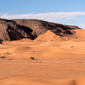 tassili-najjer (4)