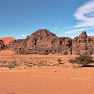 tassili-najjer (6)