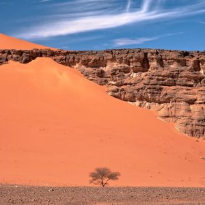 tassili-najjer (7)