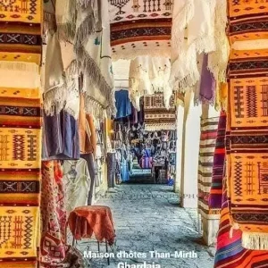 than-mirth-traditional-house-ghardaia (10) (1)