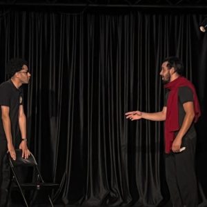 theatre-la-fourmi (8)