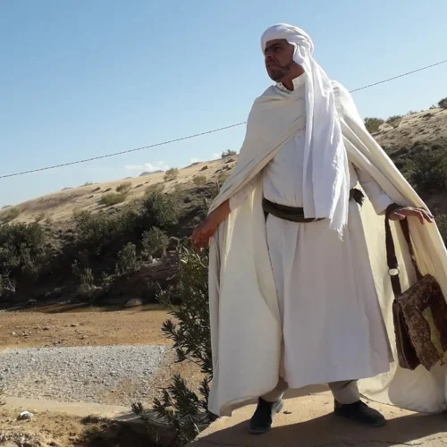wilaya-de-messaad (1)