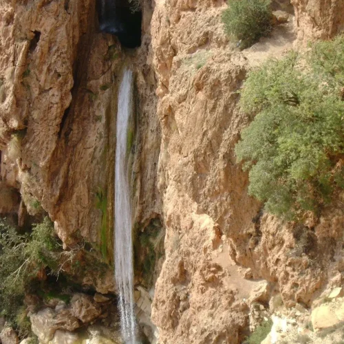wilaya-de-messaad (4)