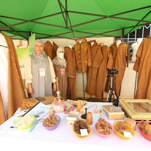 wilaya-de-messaad (5)