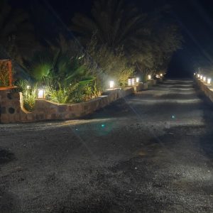 xtrem-sud (57)