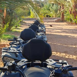 xtrem-sud-n (1)